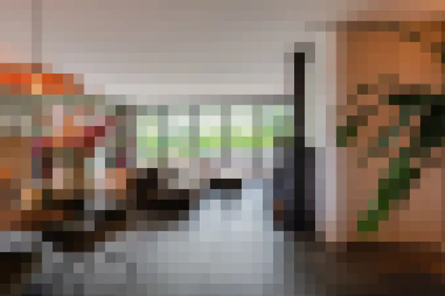 Pruimeboom 45 Culemborg thumbnail 10