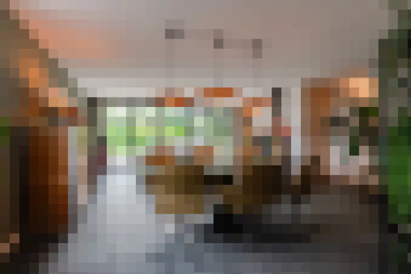 Pruimeboom 45 Culemborg thumbnail 11