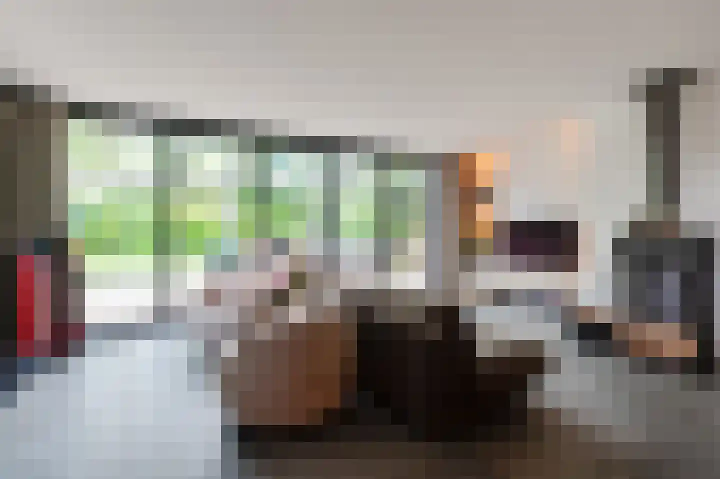 Pruimeboom 45 Culemborg thumbnail 12