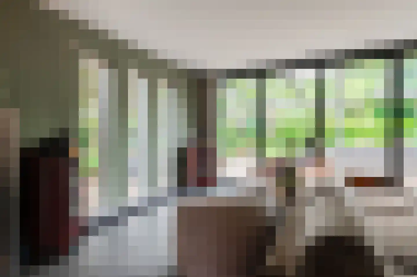 Pruimeboom 45 Culemborg thumbnail 14