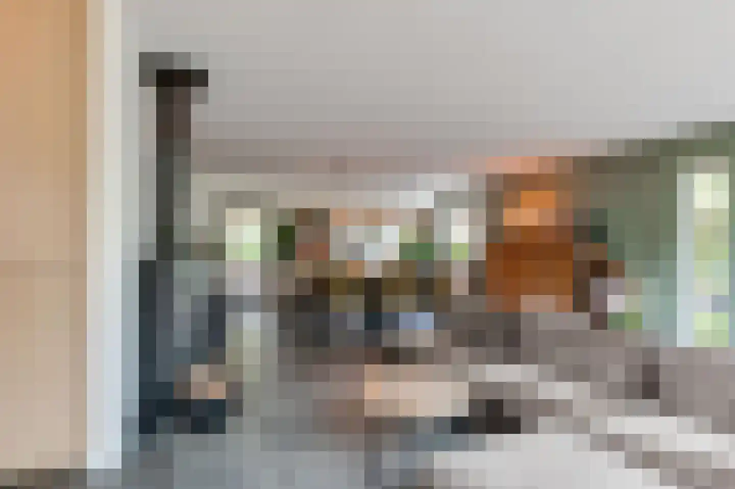 Pruimeboom 45 Culemborg thumbnail 16