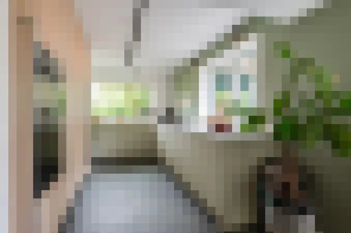 Pruimeboom 45 Culemborg thumbnail 23