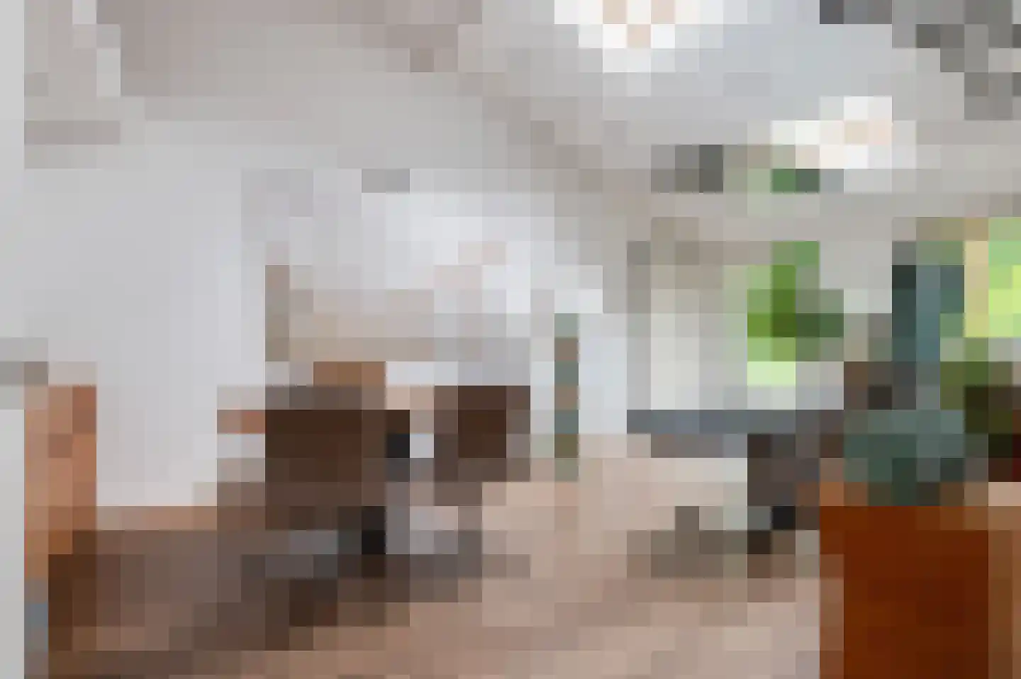 Pruimeboom 45 Culemborg thumbnail 32