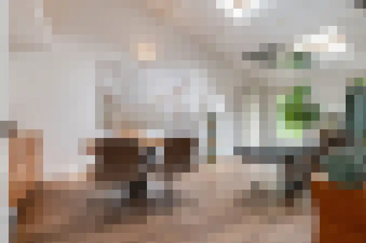 Pruimeboom 45 Culemborg thumbnail 35