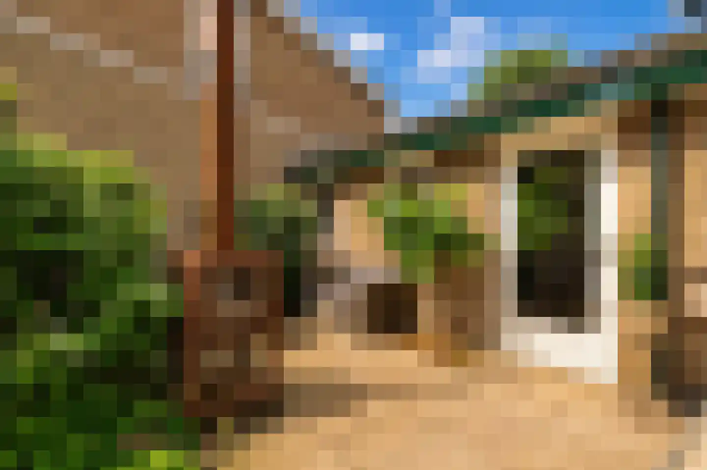 Pruimeboom 45 Culemborg thumbnail 37