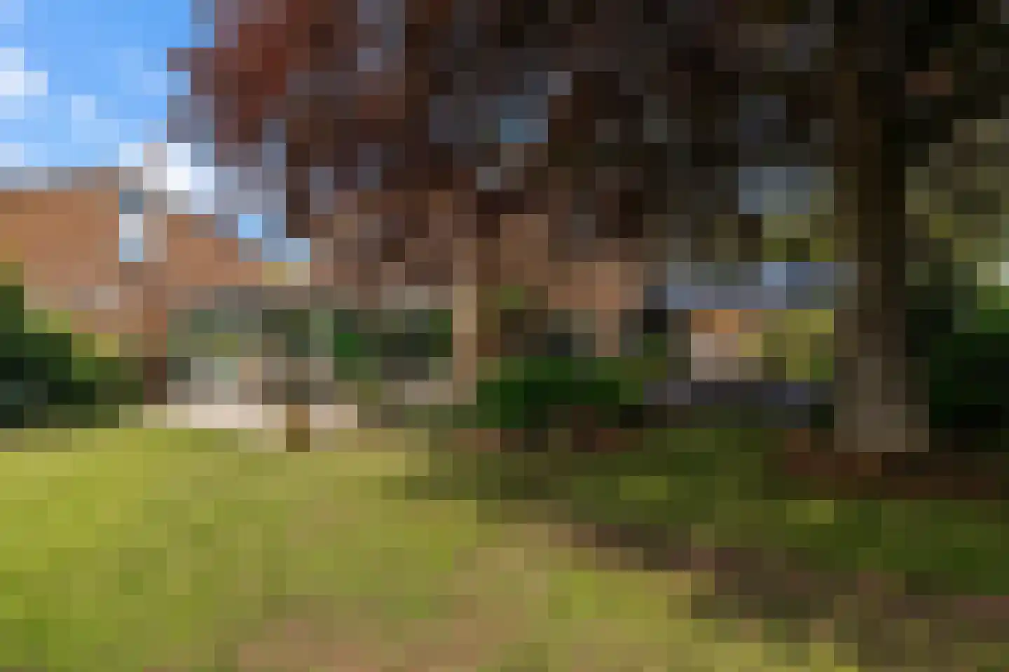 Pruimeboom 45 Culemborg thumbnail 39