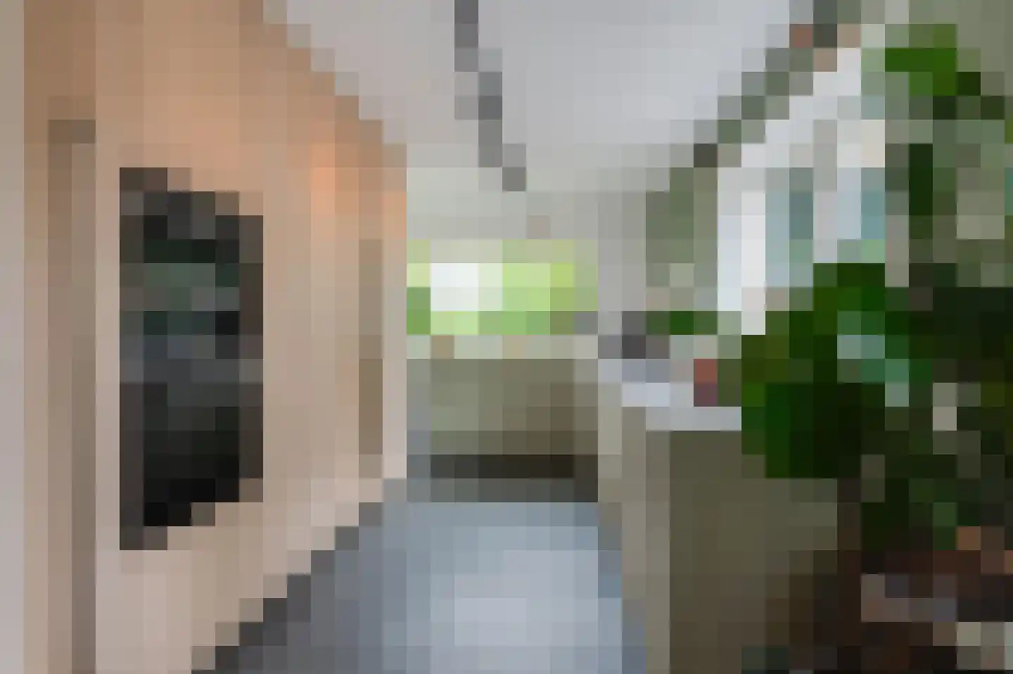 Pruimeboom 45 Culemborg thumbnail 4