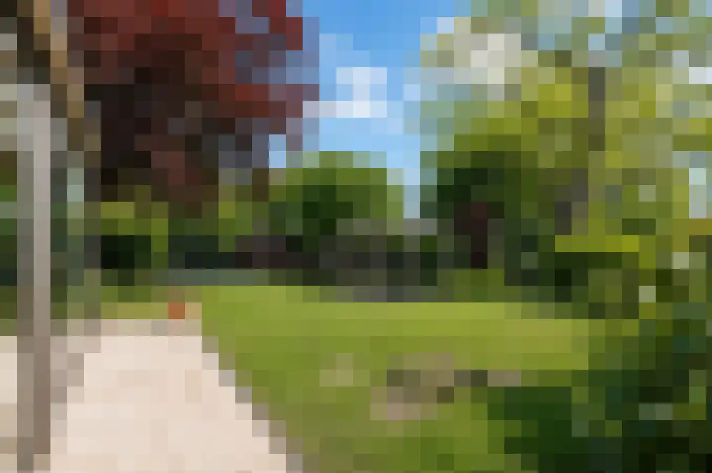 Pruimeboom 45 Culemborg thumbnail 40