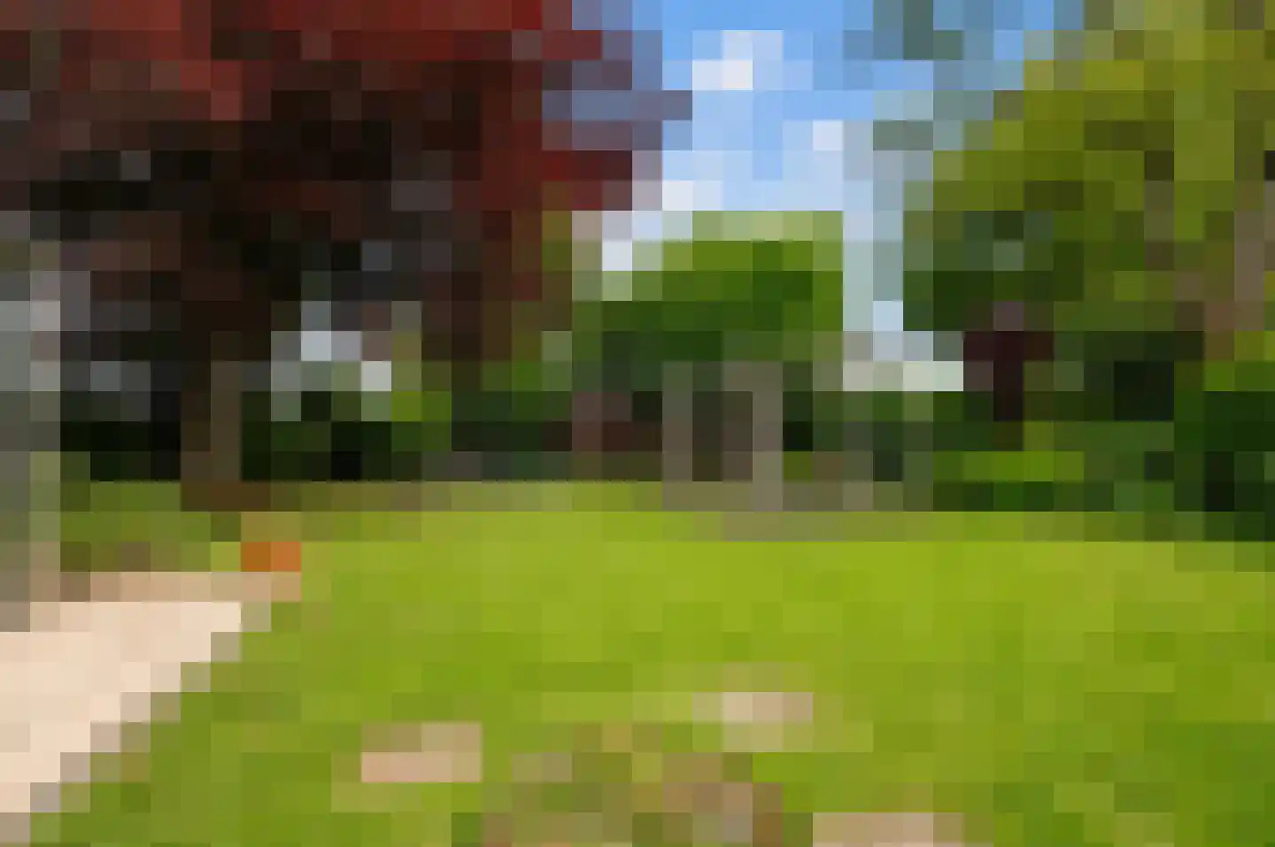 Pruimeboom 45 Culemborg thumbnail 41