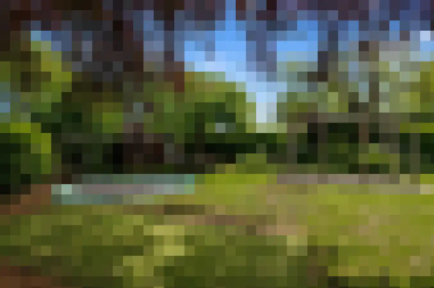 Pruimeboom 45 Culemborg thumbnail 42
