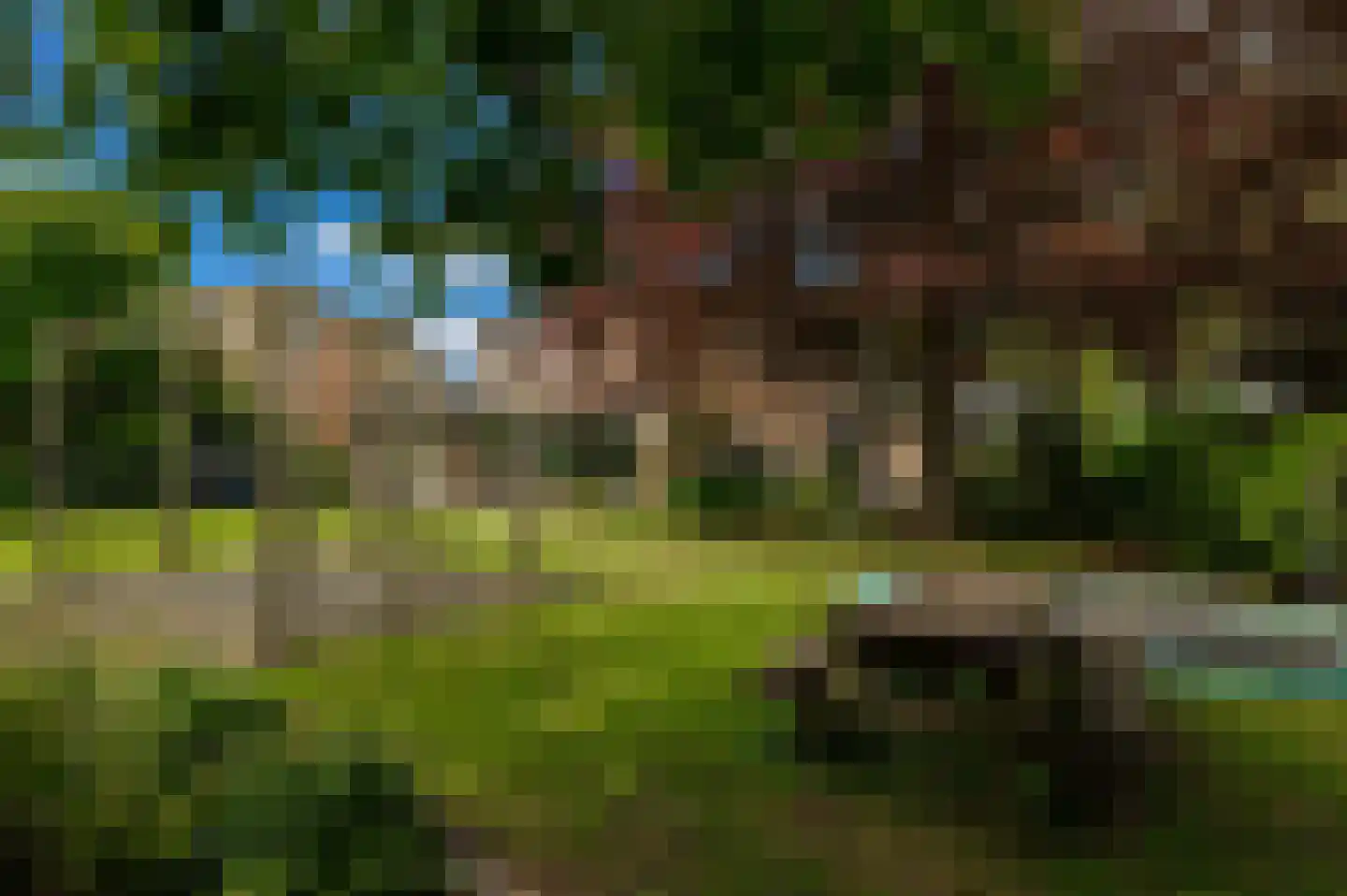 Pruimeboom 45 Culemborg thumbnail 43