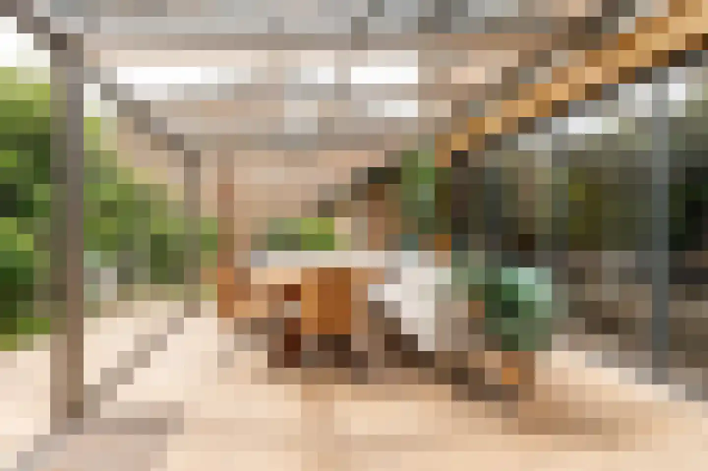 Pruimeboom 45 Culemborg thumbnail 44