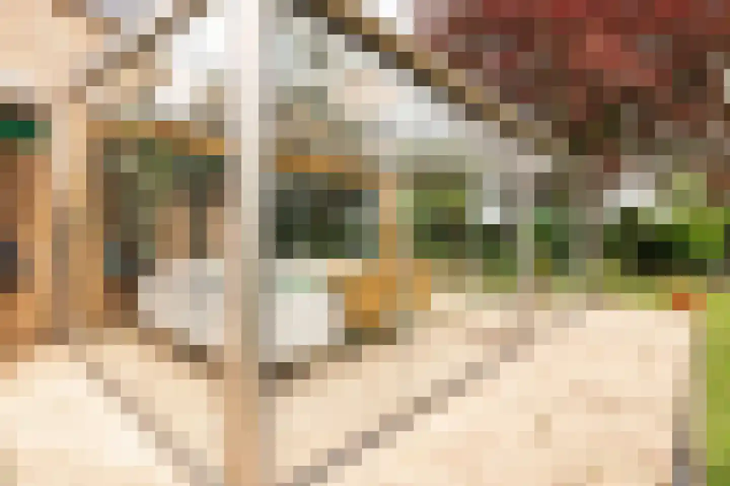 Pruimeboom 45 Culemborg thumbnail 45