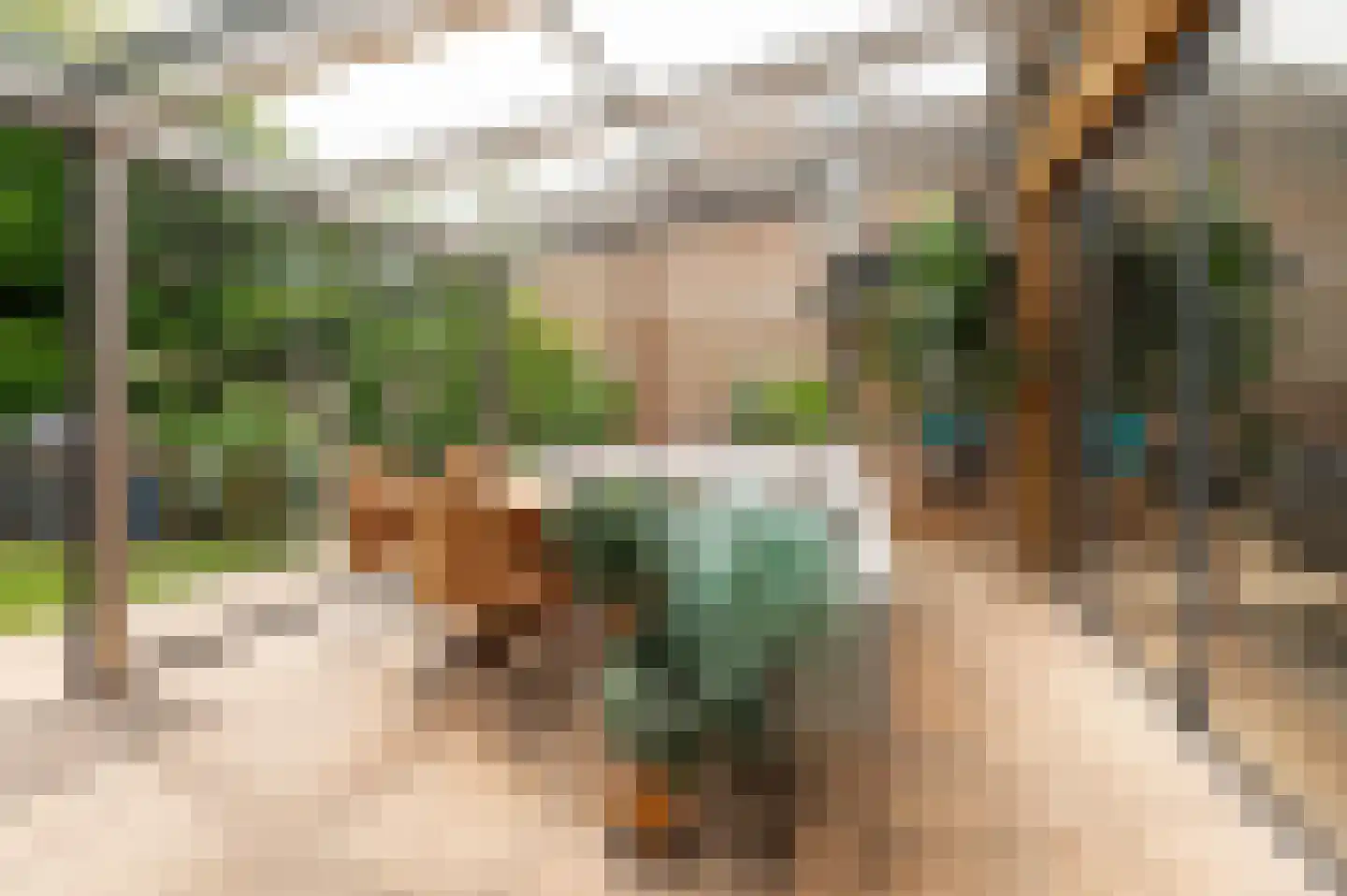 Pruimeboom 45 Culemborg thumbnail 46