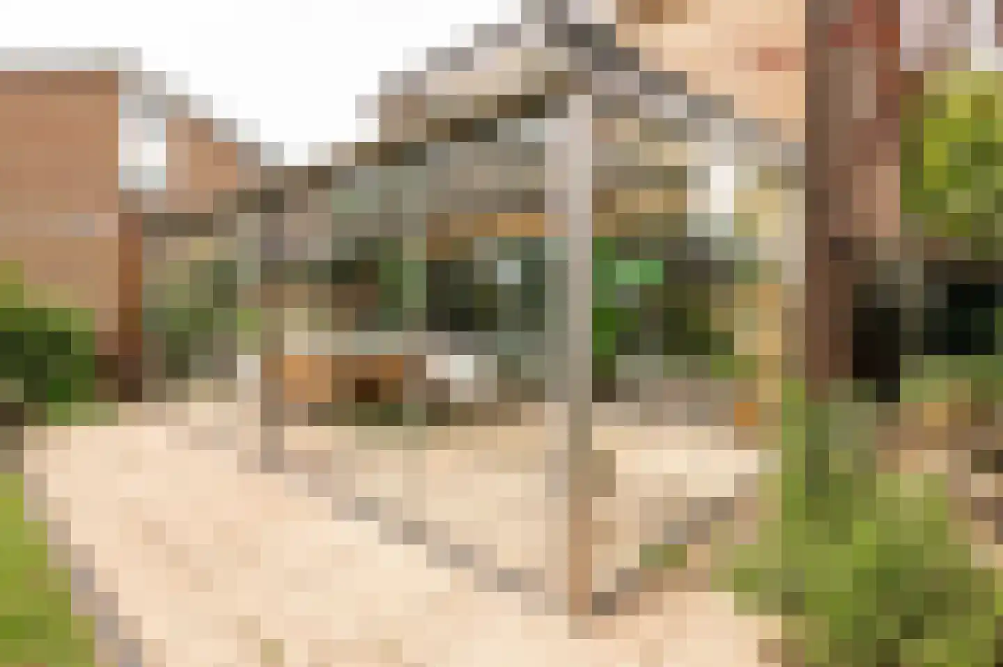 Pruimeboom 45 Culemborg thumbnail 48