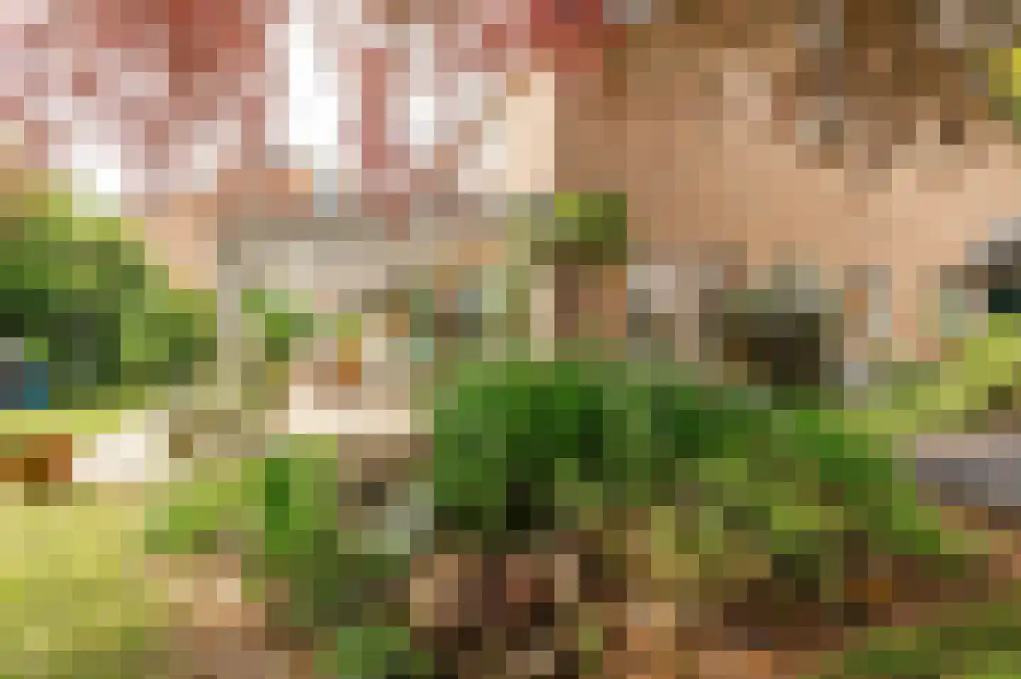 Pruimeboom 45 Culemborg thumbnail 49