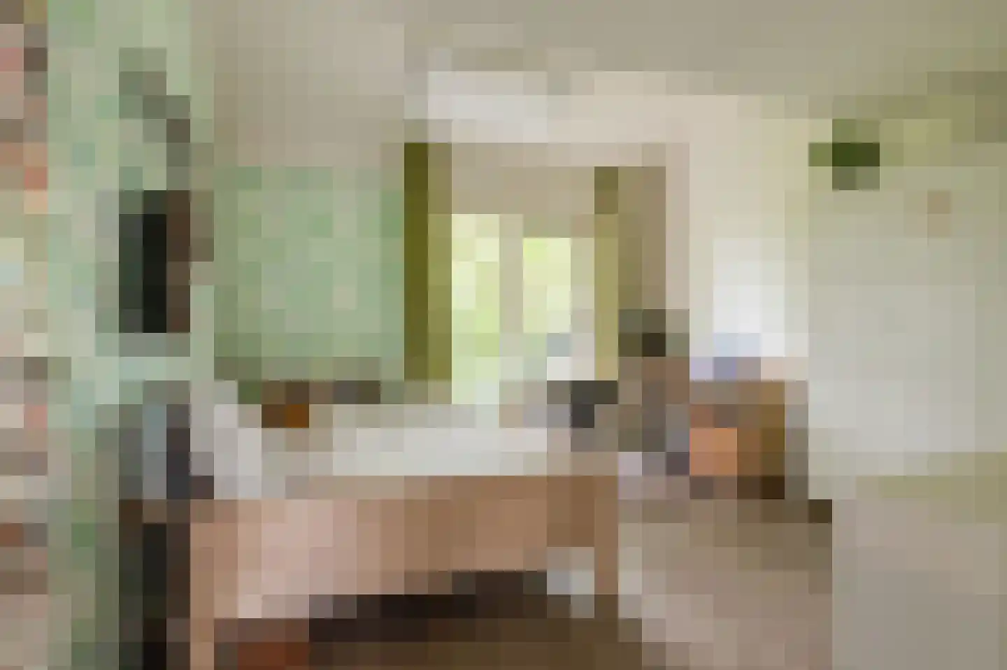 Pruimeboom 45 Culemborg thumbnail 61