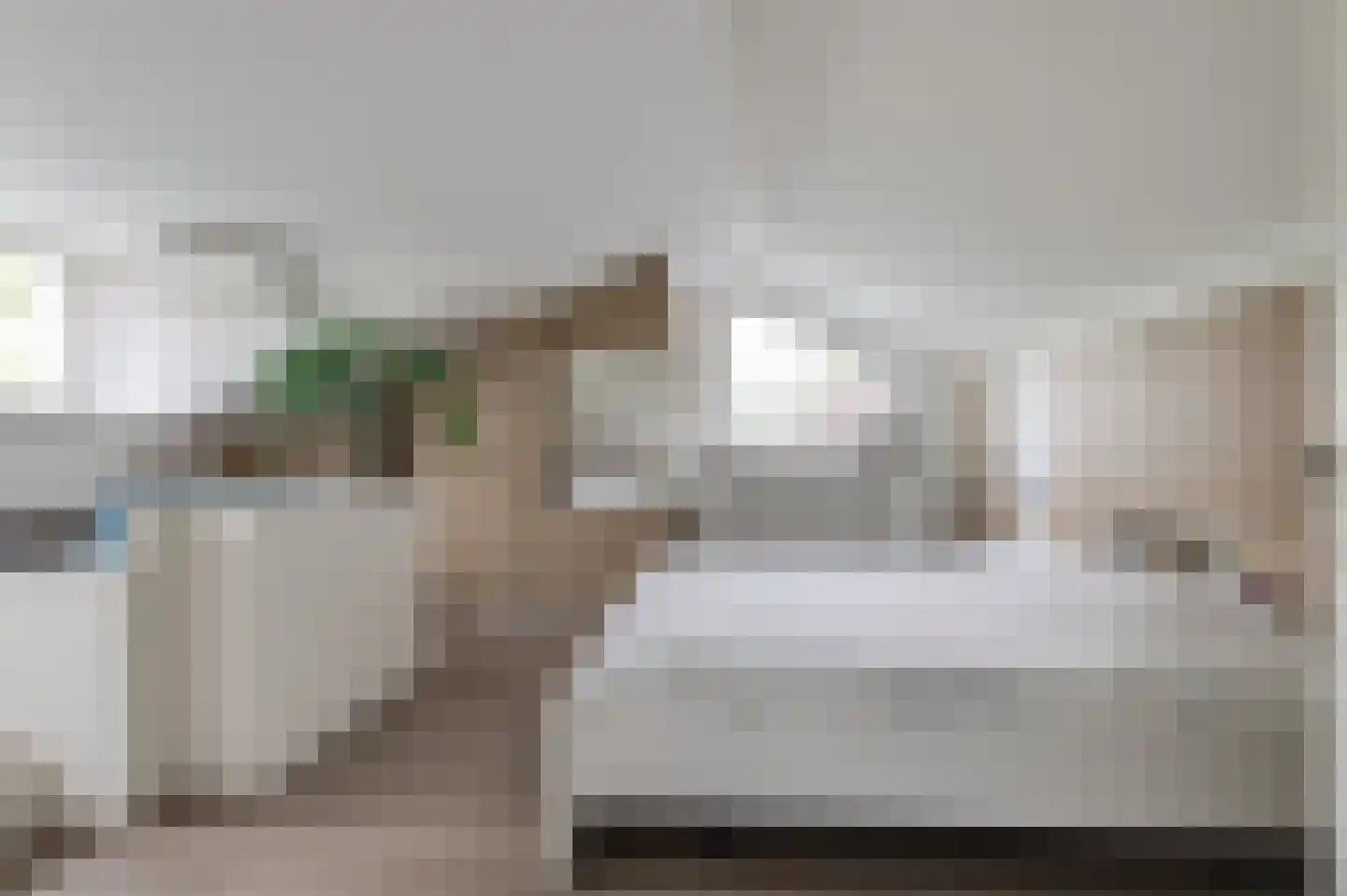 Pruimeboom 45 Culemborg thumbnail 69