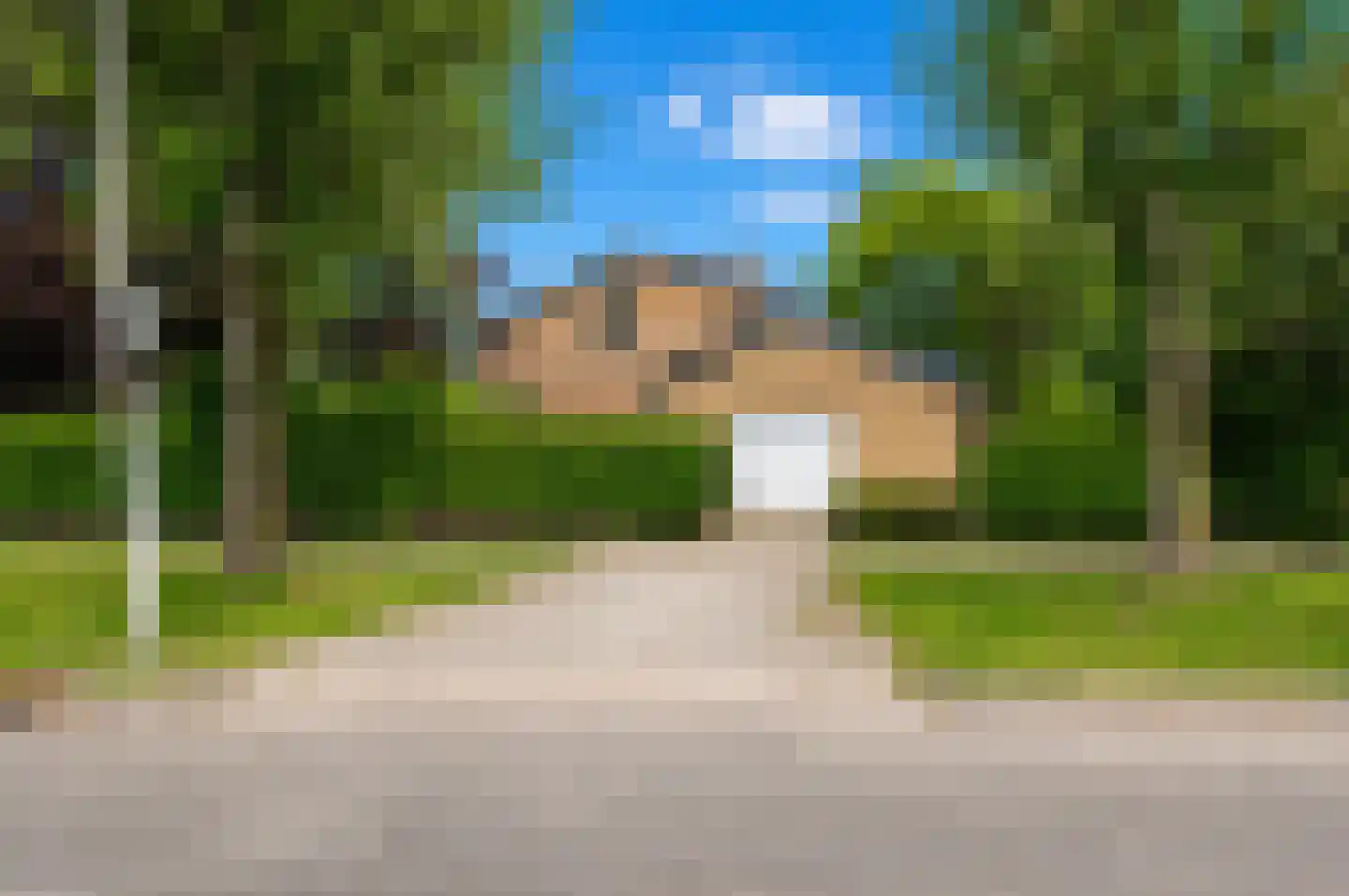 Pruimeboom 45 Culemborg thumbnail 7