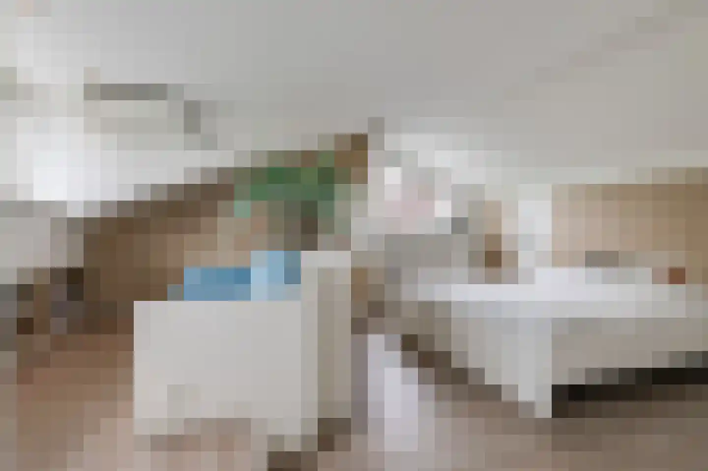 Pruimeboom 45 Culemborg thumbnail 73