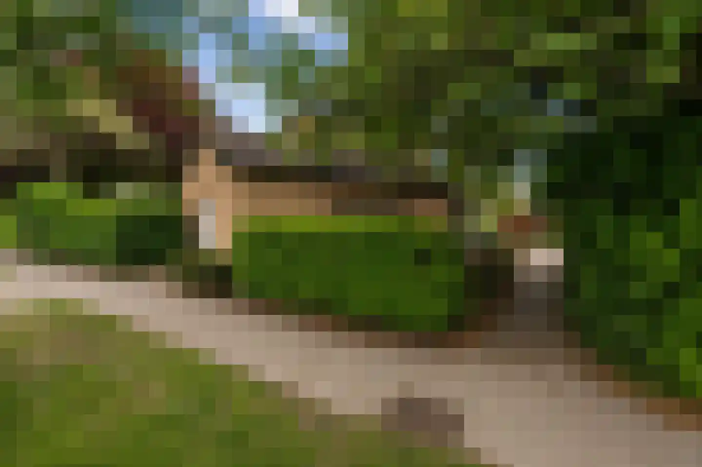 Pruimeboom 45 Culemborg thumbnail 79