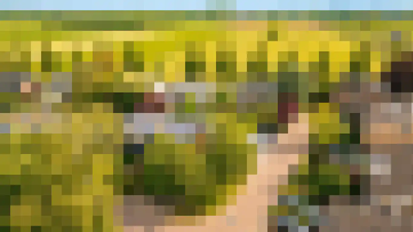 Pruimeboom 45 Culemborg thumbnail 84