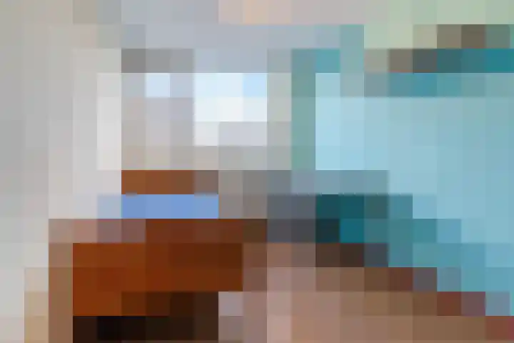 Pruimeboom 7 Culemborg thumbnail 17