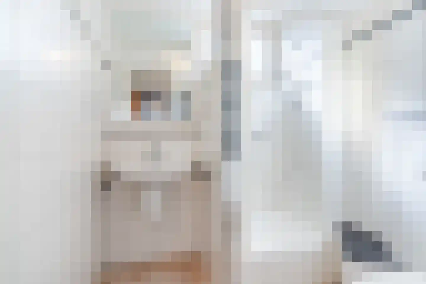 Pruimeboom 7 Culemborg thumbnail 20