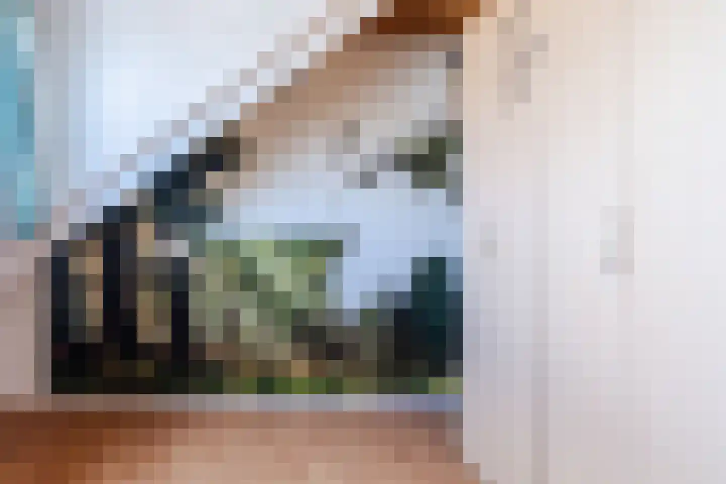 Pruimeboom 7 Culemborg thumbnail 23