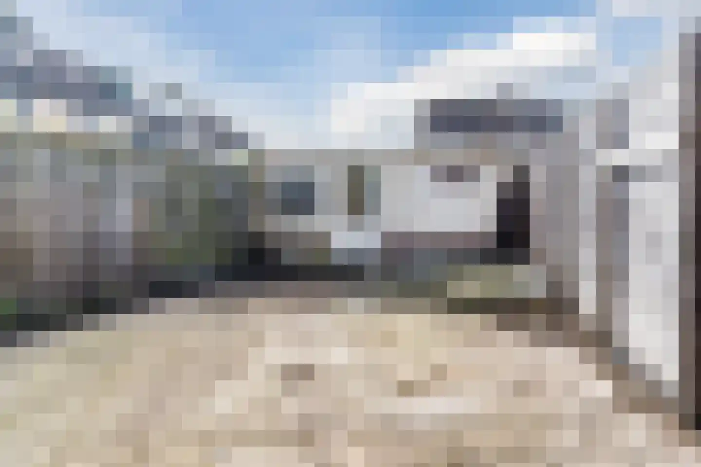 Pruimeboom 7 Culemborg thumbnail 27
