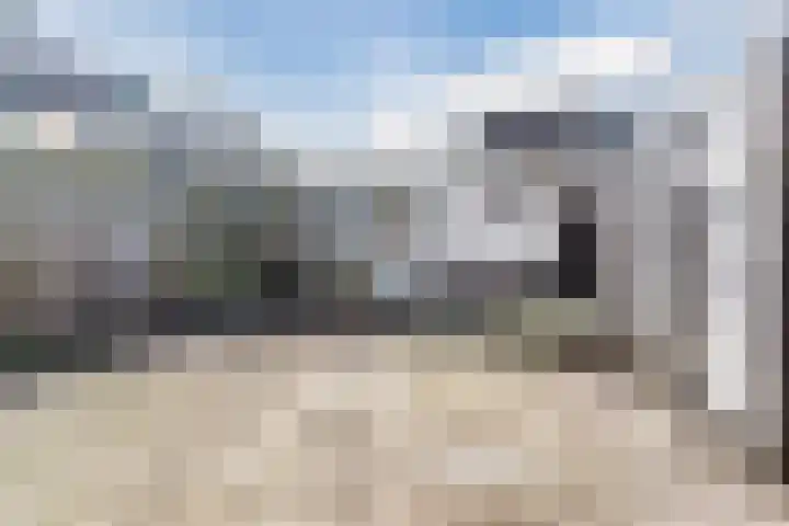 Pruimeboom 7 Culemborg thumbnail 27