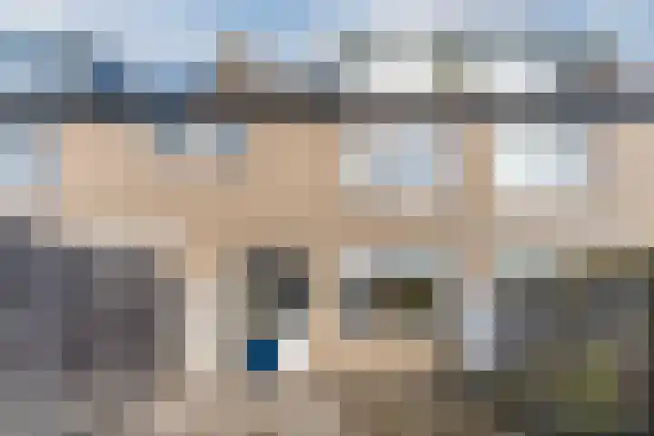 Pruimeboom 7 Culemborg thumbnail 30