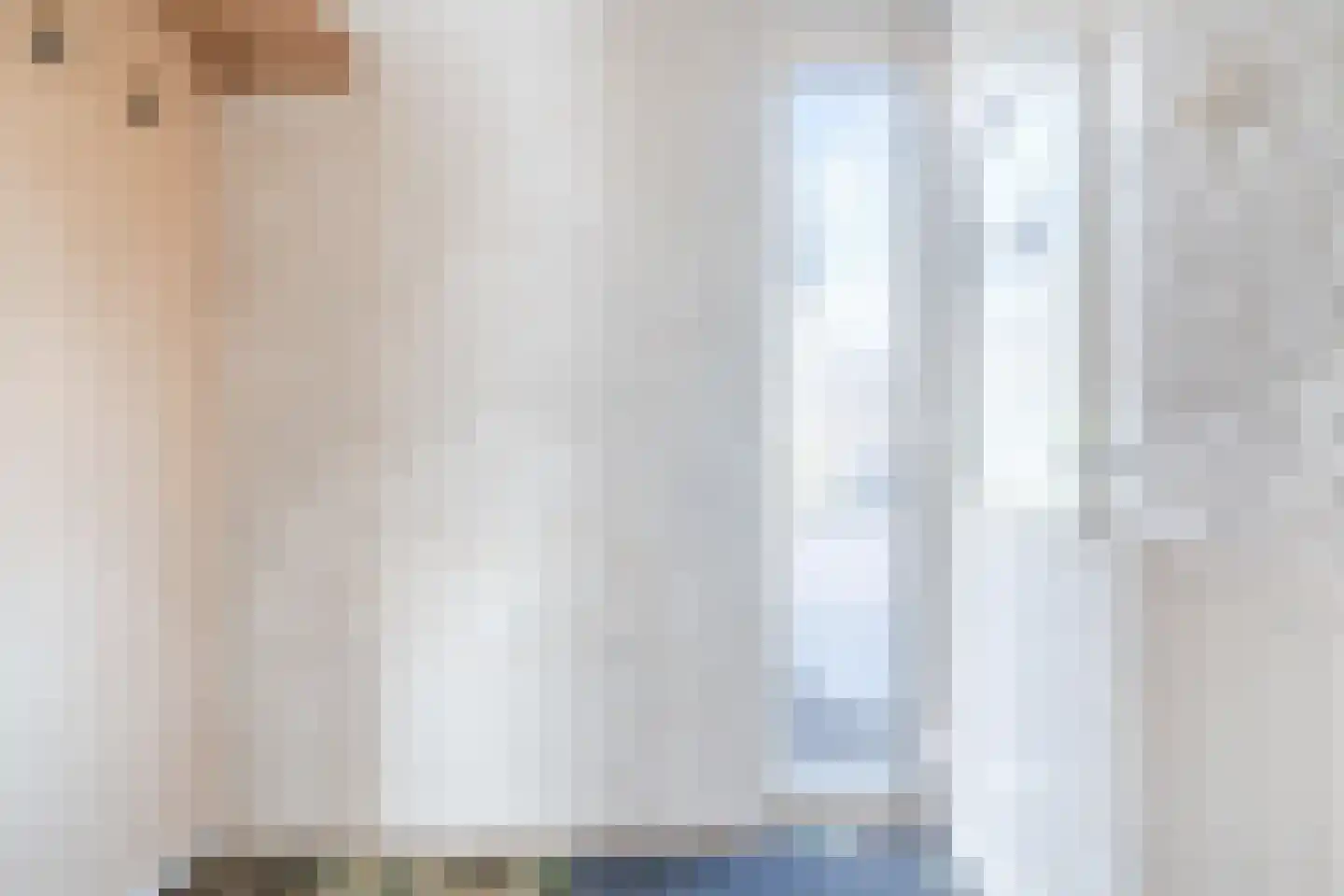 Pruimeboom 7 Culemborg thumbnail 4