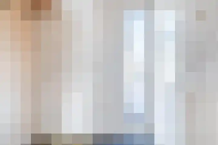 Pruimeboom 7 Culemborg thumbnail 4