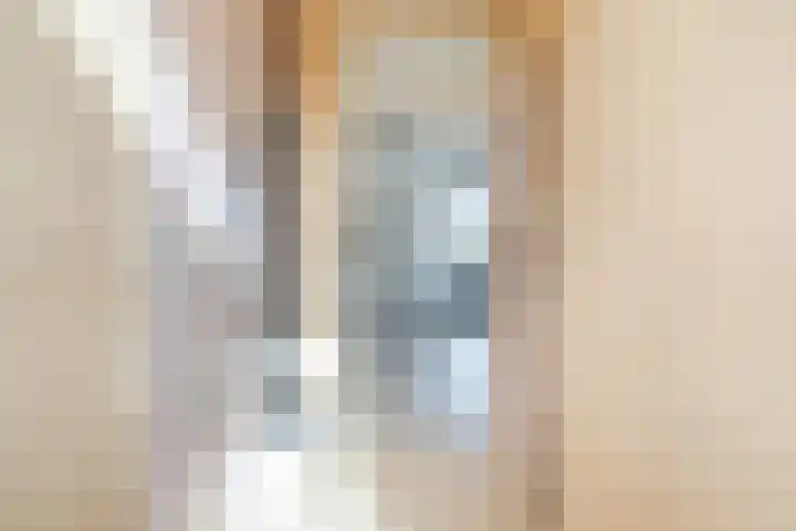 Pruimeboom 7 Culemborg thumbnail 5