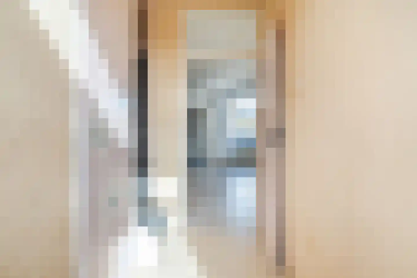 Pruimeboom 7 Culemborg thumbnail 5