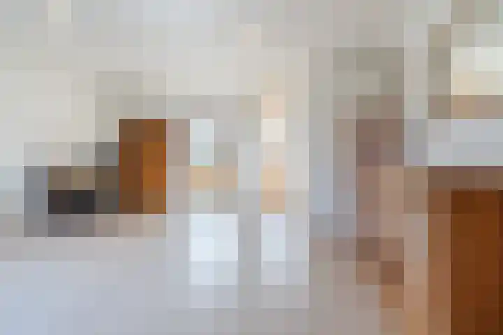 Pruimeboom 7 Culemborg thumbnail 6