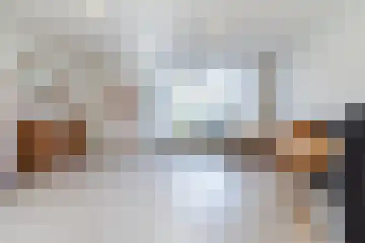 Pruimeboom 7 Culemborg thumbnail 8