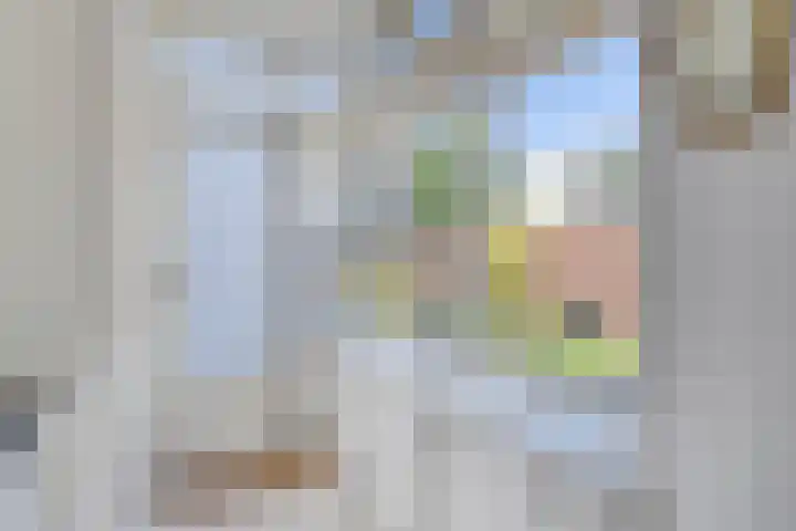 Pruimegaard 15 Zwaag thumbnail 14