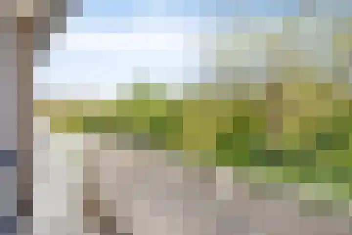 Pruimegaard 15 Zwaag thumbnail 17