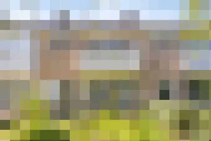 Pruimegaard 15 Zwaag thumbnail 29
