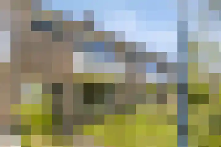 Pruimegaard 15 Zwaag thumbnail 30