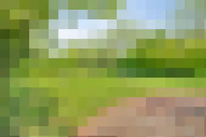 Pruimegaard 15 Zwaag thumbnail 31
