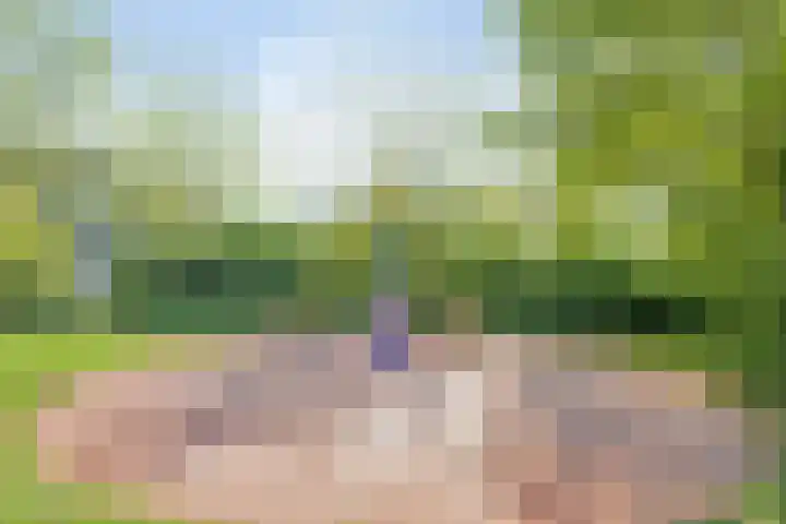 Pruimegaard 15 Zwaag thumbnail 32
