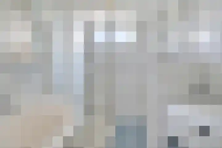 Pruimegaard 15 Zwaag thumbnail 4