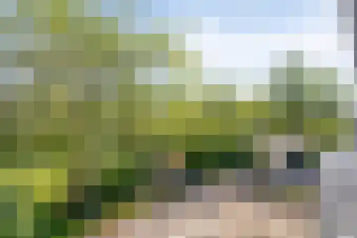 Pruimegaard 15 Zwaag thumbnail 5