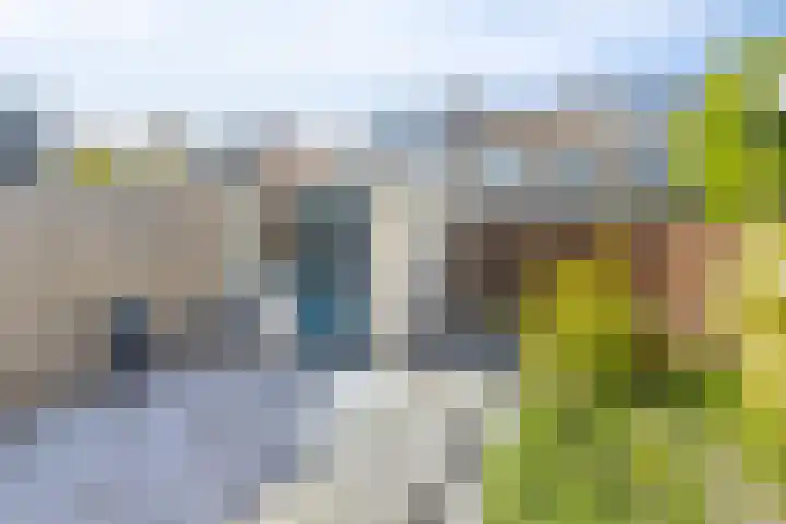 Pruimegaard 15 Zwaag thumbnail 6