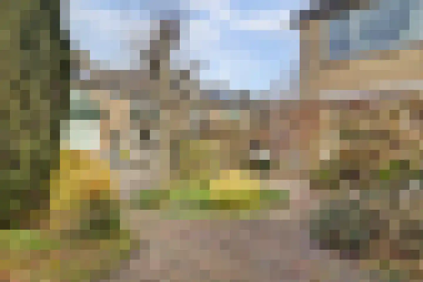 Pruimegaard 2 Zwaag thumbnail 16
