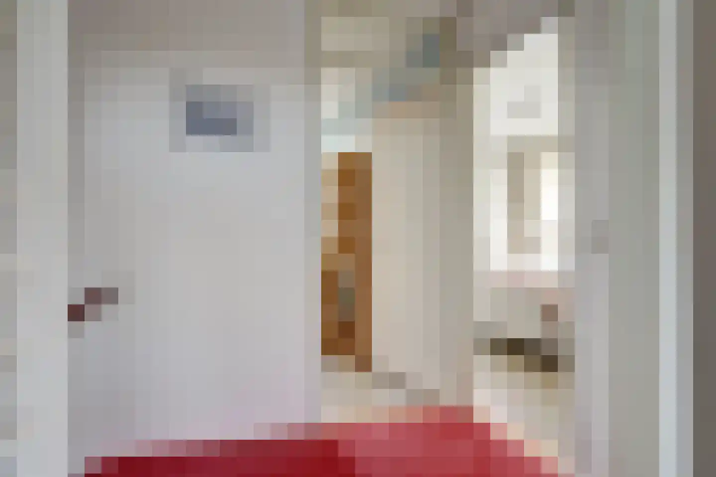 Pruimegaard 2 Zwaag thumbnail 17