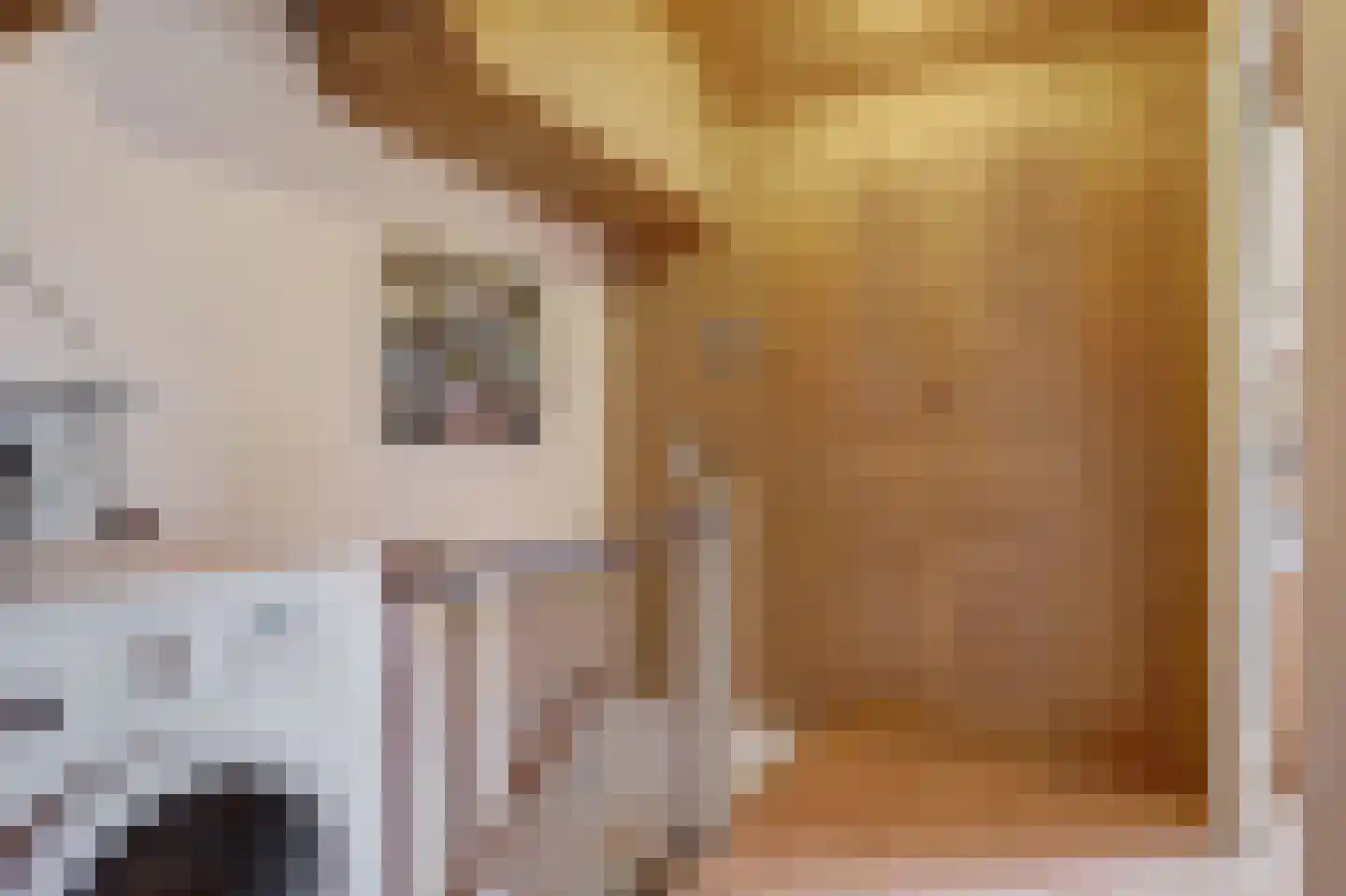 Pruimegaard 2 Zwaag thumbnail 31